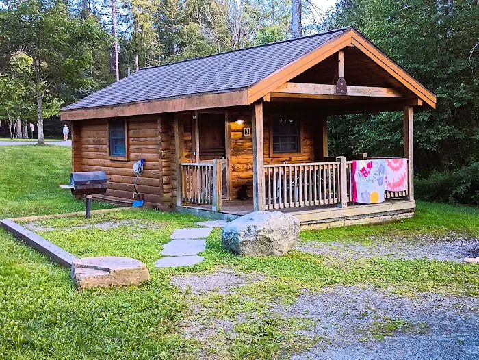 Pickerel Point Campground Picture 7