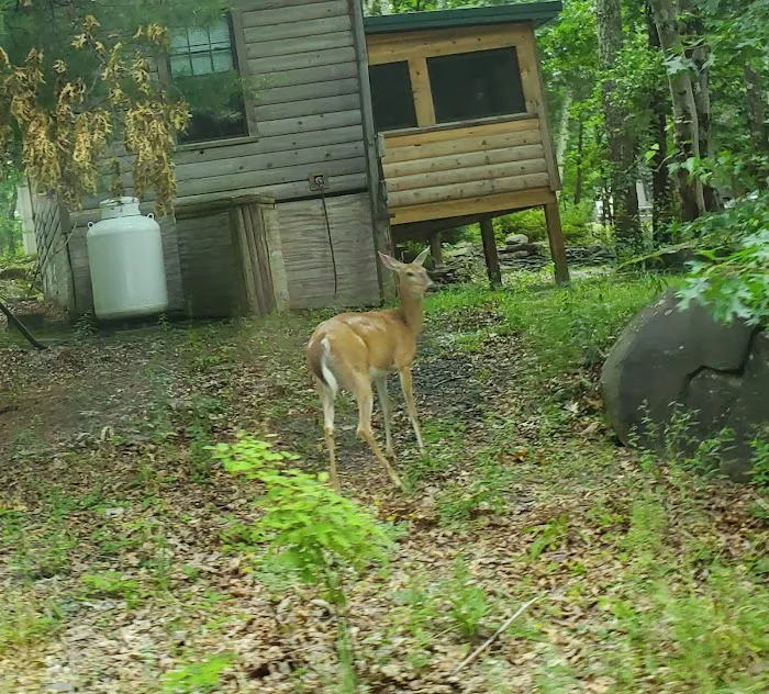 Trails End Campground Picture 9