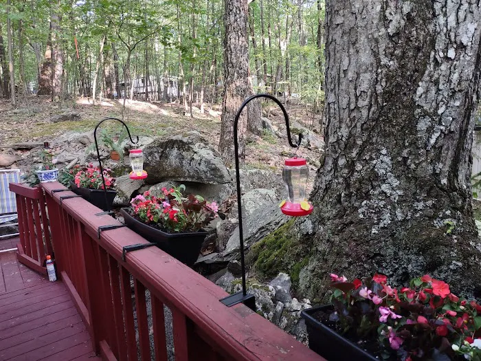 Trails End Campground Picture 5