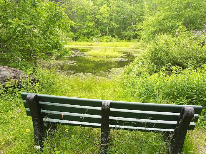 Trails End Campground Picture 4