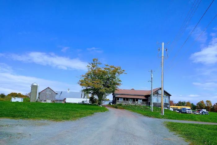 Yasgur Road Picture 3