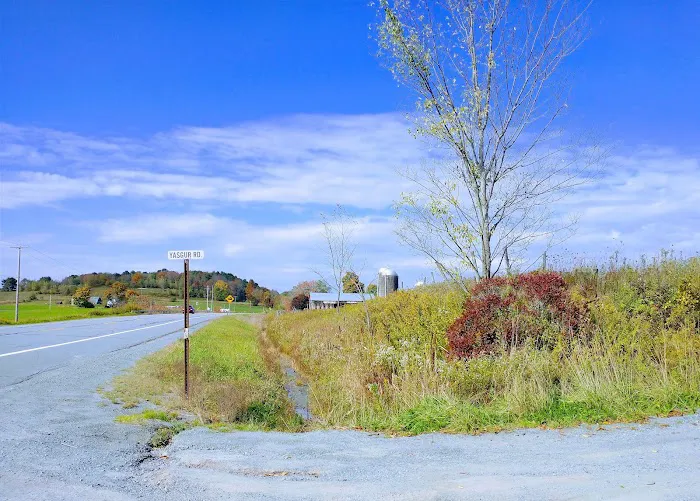 Yasgur Road Picture 7