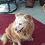 Floral Mobile Home Park