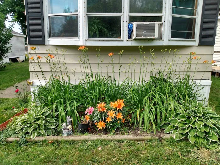 Dorwood Mobile Home Community Picture 2