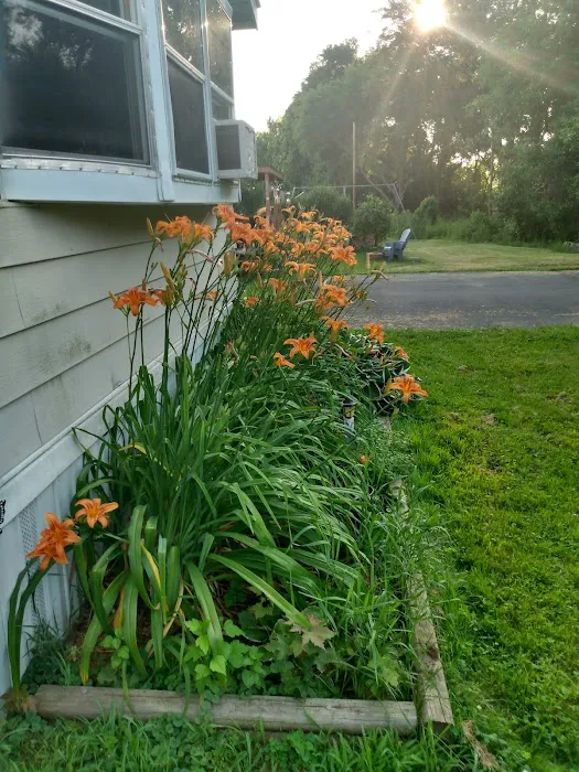 Dorwood Mobile Home Community Picture 7