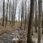 Kymer's Campground