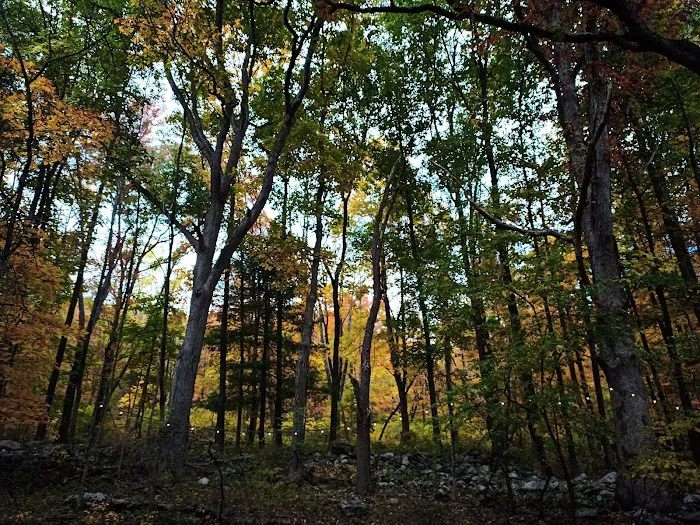 Harmony Ridge Farm & Campground Picture 2
