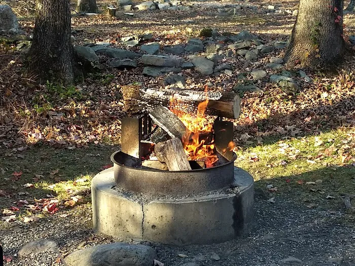 Harmony Ridge Farm & Campground Picture 8