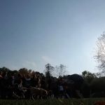 Haskin's Group Campsites