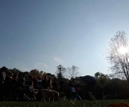 Haskin's Group Campsites