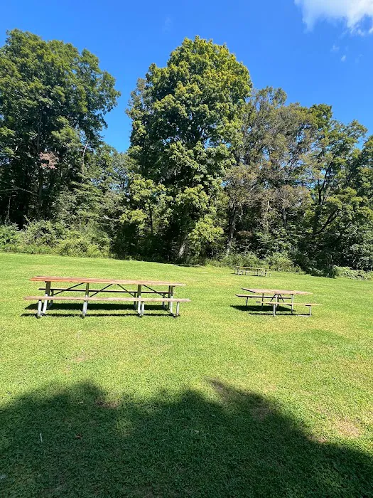 Haskin's Group Campsites Picture 2