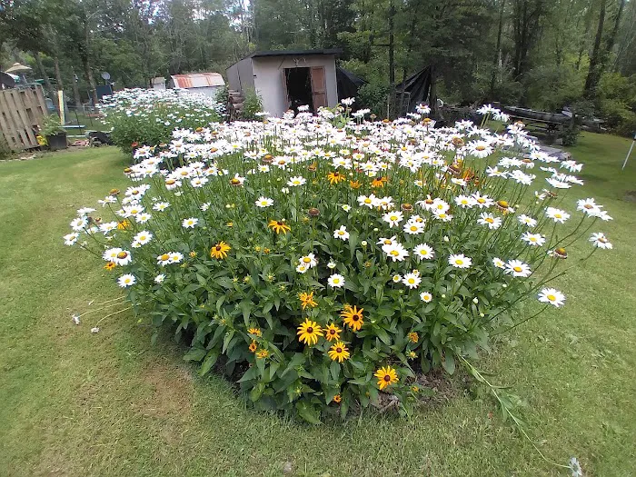 Bear Creek Campgrounds Picture 3