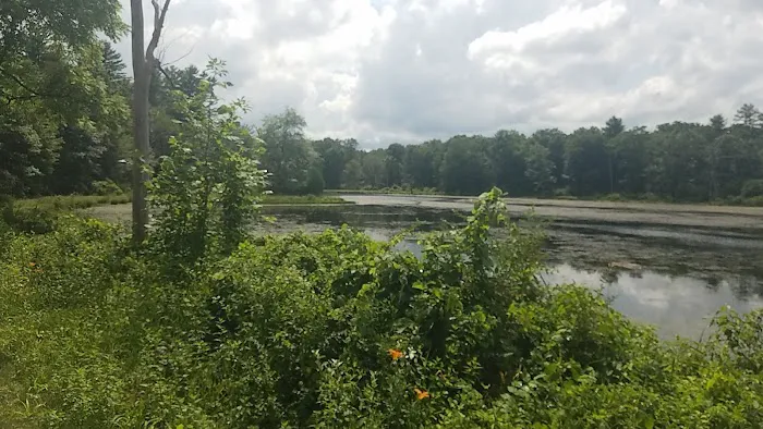 Bear Creek Campgrounds Picture 9
