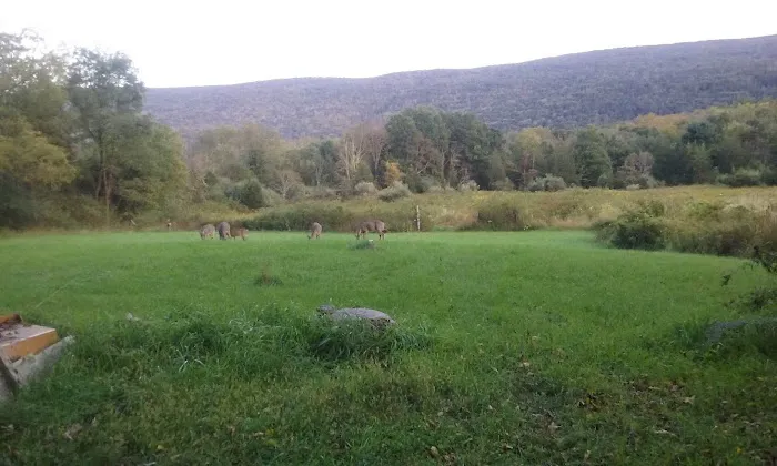 Bear Creek Campgrounds Picture 4