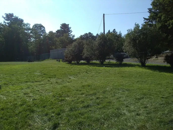 Camp Scuffy Picture 7
