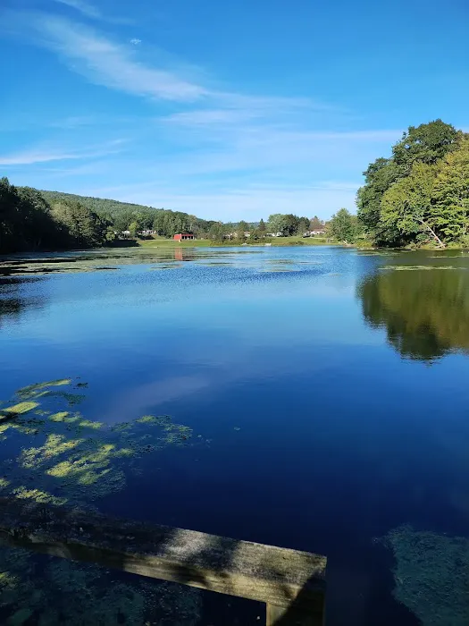 Crazy Acres Campground at Beaver Spring Lake Picture 2