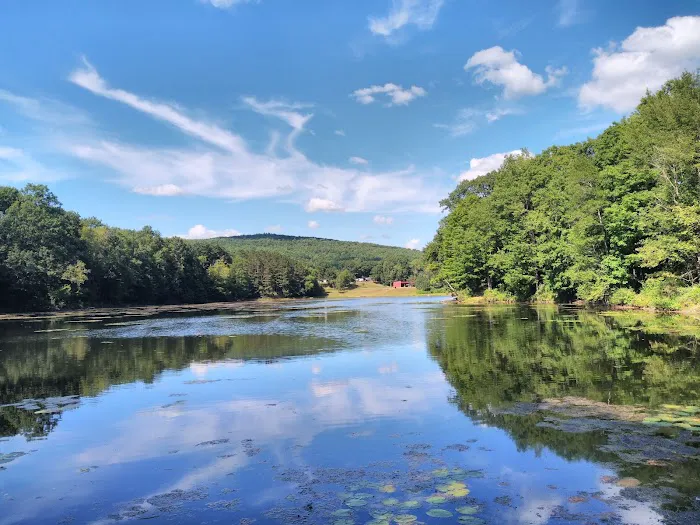 Crazy Acres Campground at Beaver Spring Lake Picture 9