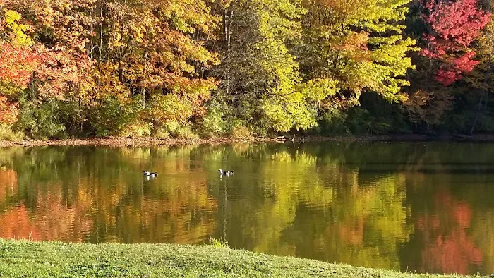 Cooperstown Family Campground Picture 2