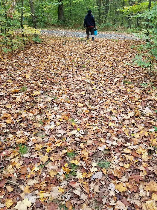 Cherry Ridge Campground Picture 5