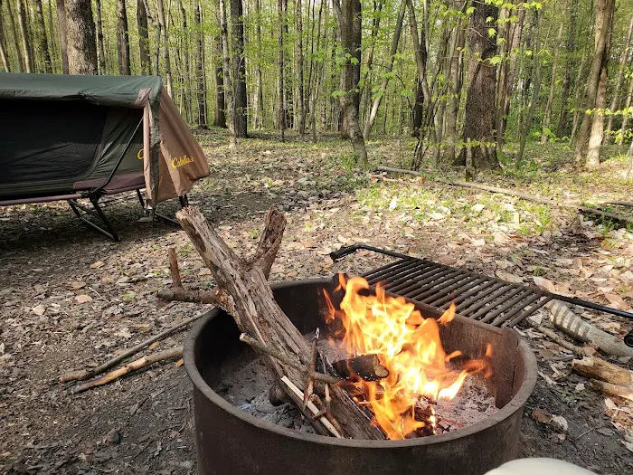 Cherry Ridge Campground Picture 7