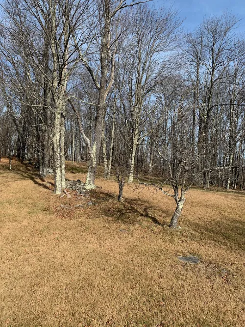 Namaste Catskills Picture 7