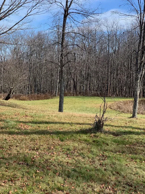 Namaste Catskills Picture 4