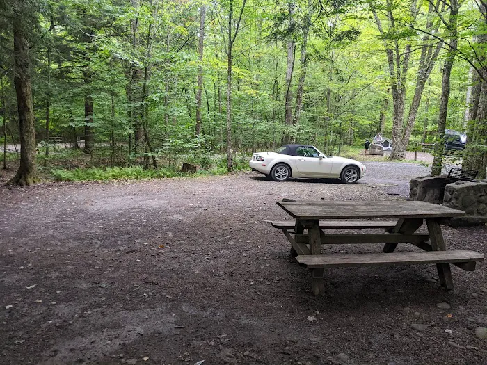 Little Pond Campground Picture 7