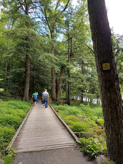 Little Pond Campground Picture 3