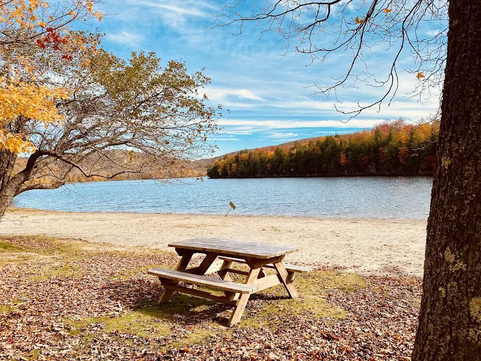 Mongaup Pond Campground Picture 10
