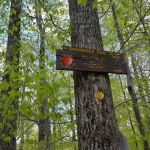 Mongaup Pond Campground