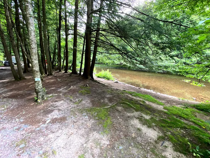 Covered Bridge Campsite Picture 6