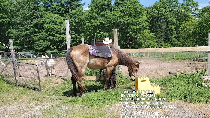 Arrowhead Ranch & Retreat Picture 5