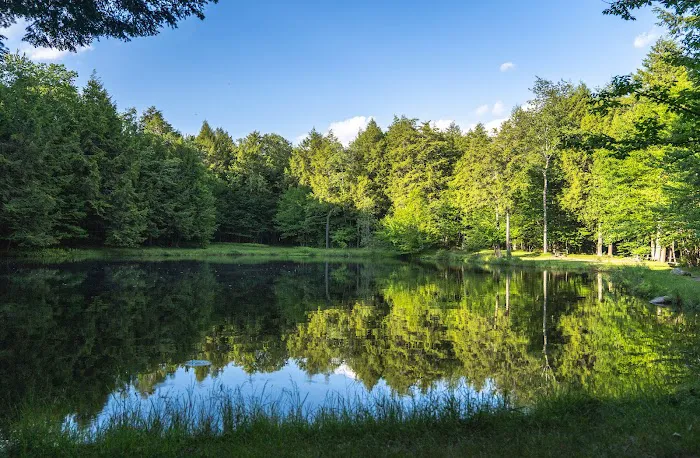 Willowemoc Campgrounds Picture 3