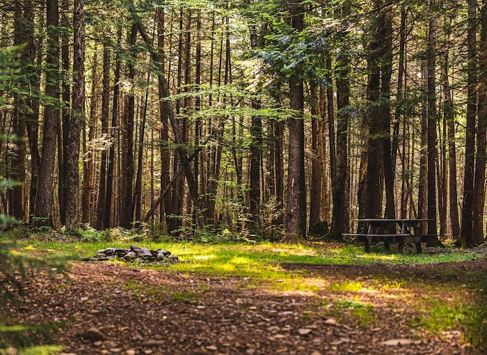 Willowemoc Campgrounds Picture 7