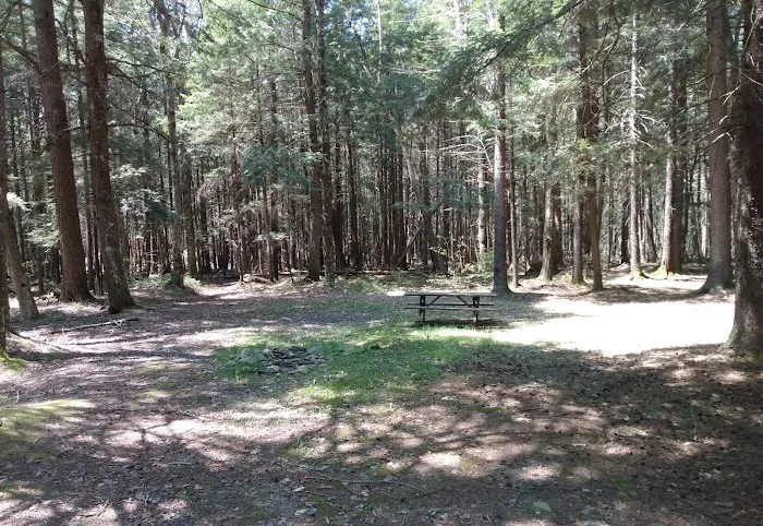 Willowemoc Campgrounds Picture 10