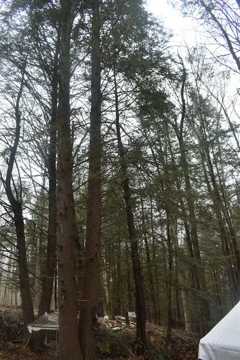 The Camp at Twin Creeks Picture 5