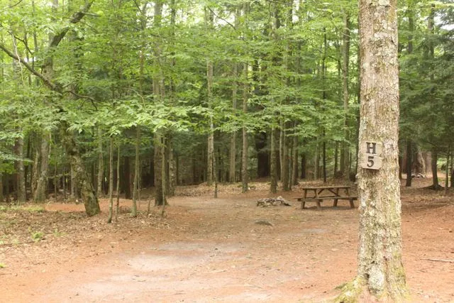 Happy Days Campground Picture 9