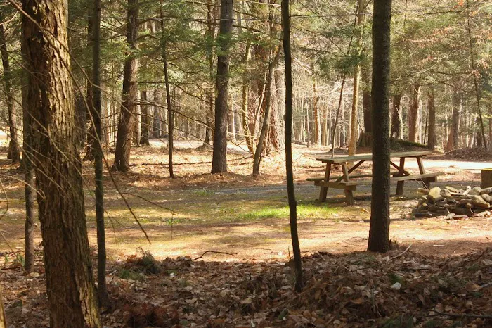 Happy Days Campground Picture 8
