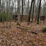 5 Mile Meadow Road - Entry