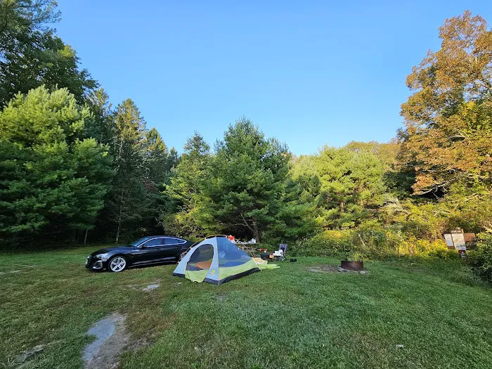 Delaware State Forest campsite #E014 Picture 3