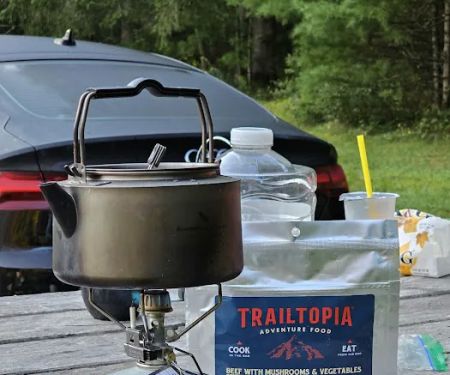 Delaware State Forest campsite #E014