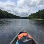 National Park Service - Mashipacong Island - Campsite # 1