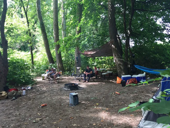 National Park Service - Mashipacong Island - Campsite # 1 Picture 10