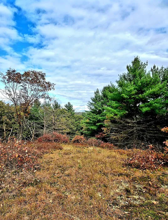 Port Jervis Elks Brox Campground Picture 6