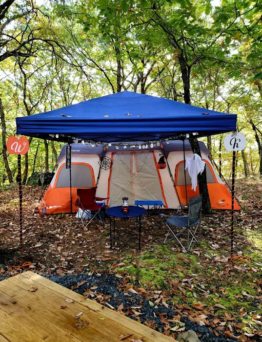 Port Jervis Elks Brox Campground Picture 4