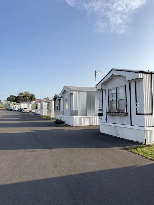 Lemoyne Village Mobile Home Community Picture 2