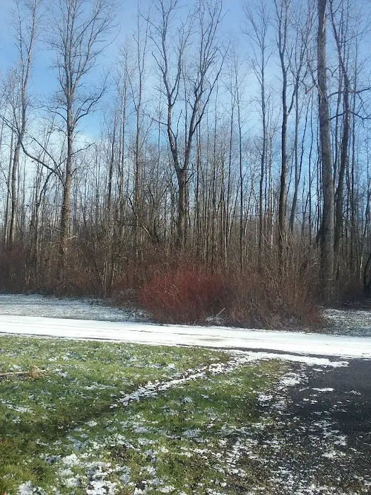 Riverview mobile court llc Picture 8