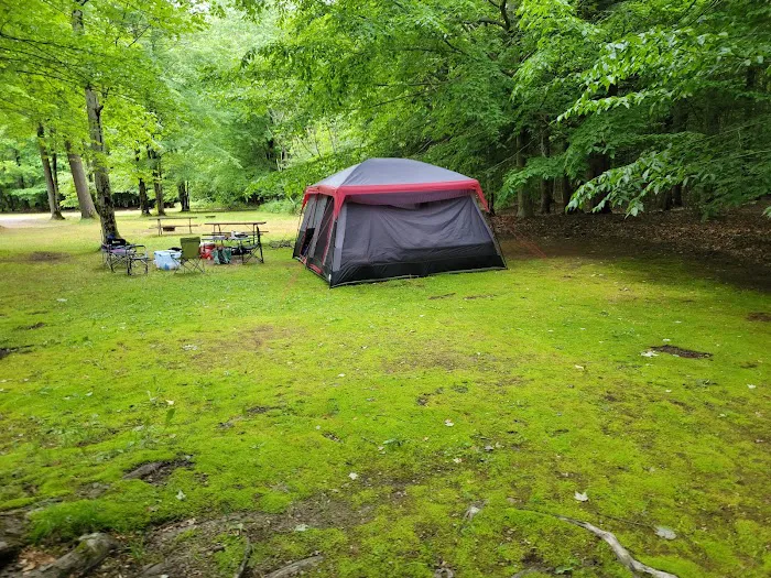 Pleasant Lake Campground Picture 2