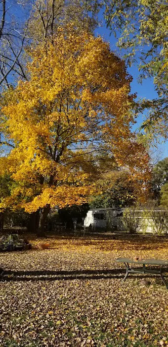 Orchard Grove Village Mobile Home Community Picture 10