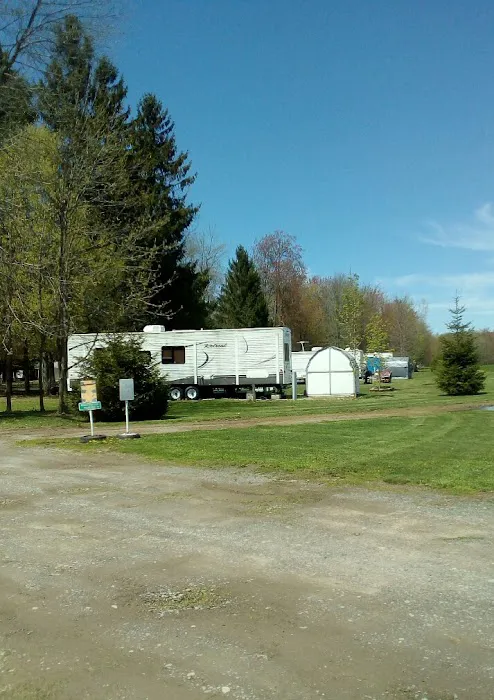 Piney Woods Campsites Picture 5